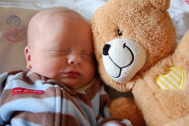 medvěd a kojenec.jpg