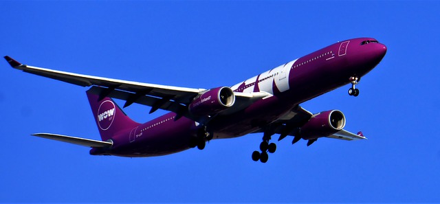 fialové letadlo wow